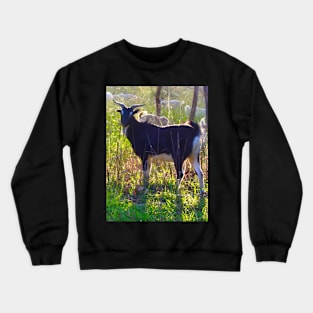 The Goat ! Crewneck Sweatshirt